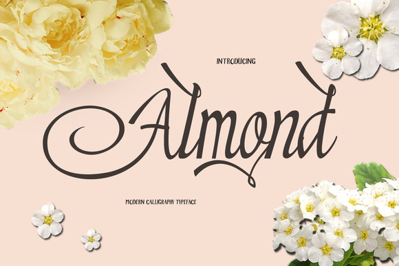 Almond: A Premium Script for Elegant Branding
