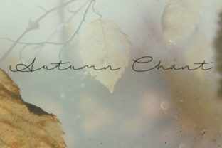 Autumn Chant: A Versatile Script Font for Creative Branding