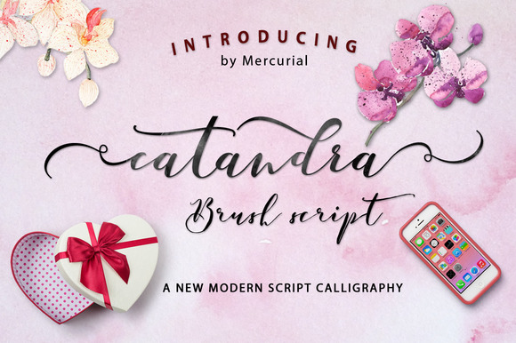 Discover Catandra Script: A Charming Modern Font