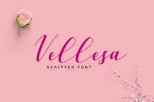 Elevate Your Brand with Vellesa Script: A Premium Handmade Font