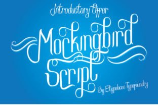 Enhance Your Campaign with Mockingbird Script Font
