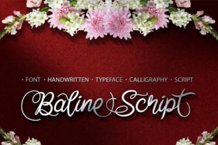 Exploring Baline Script: A Designer's Take