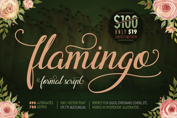 Flamingo: A Handcrafted Font for Stunning Web Design