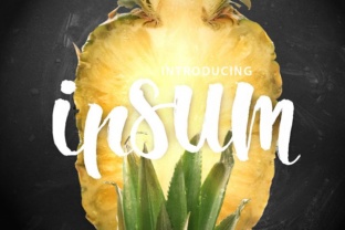 Ipsum Script: A Modern Brush Font for Creative Branding