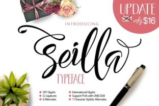 Transform Your Brand with Seilla Script: A Modern Lettering Typeface